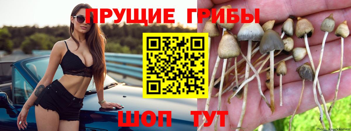 Псилоцибиновые грибы ЛСД  Галлюциногенные грибы прущие грибы  Вход с VPN  Пенза 